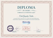 Diploma acreditativo de Cursos de Visual Basic Profesional Online