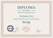 Diploma acreditativo de Cursos de Microsoft Office Básico  Online
